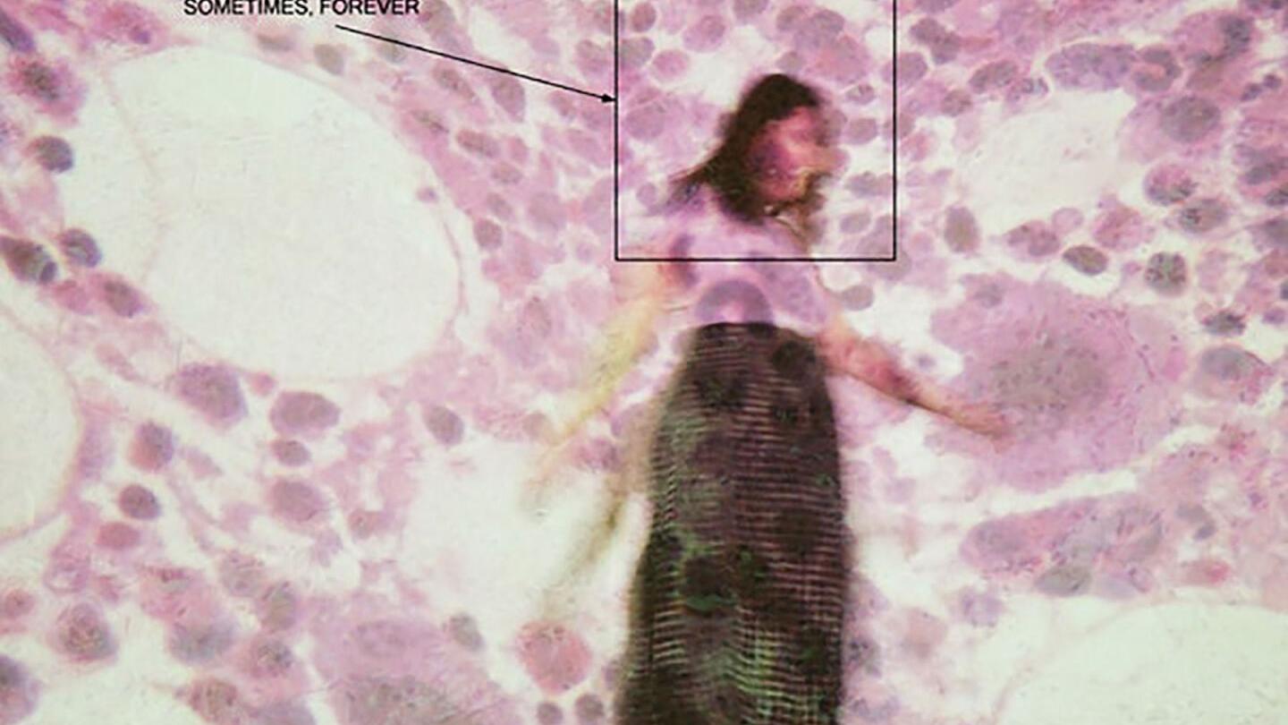 Soccer Mommy, <i>Sometimes, Forever</i>